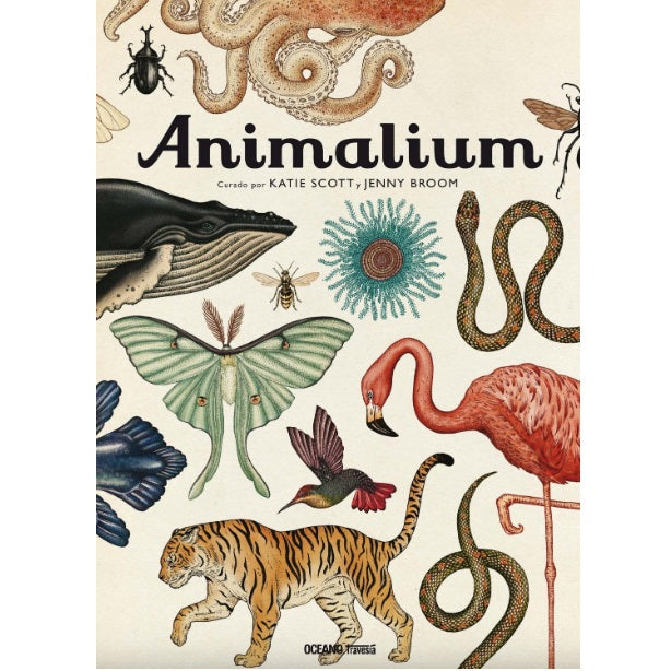Animalium Animalium